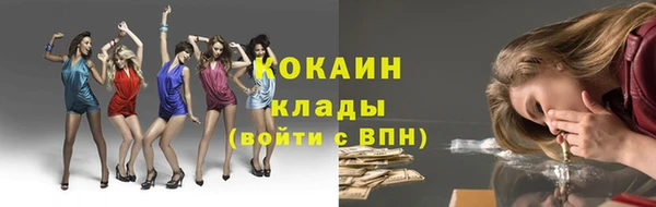 кокс Арсеньев