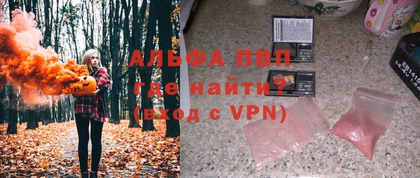 сатива Покачи